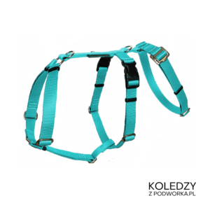 SZELKI GUARD ANTYUCIECZKOWE KOLEDZY Z PODWÓRKA BŁĘKITNE