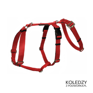 SZELKI GUARD ANTYUCIECZKOWE KOLEDZY Z PODWÓRKA CZERWONE