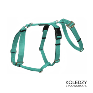 SZELKI GUARD ANTYUCIECZKOWE KOLEDZY Z PODWÓRKA MIĘTOWE