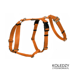 SZELKI GUARD ANTYUCIECZKOWE KOLEDZY Z PODWÓRKA POMARAŃCZOWE