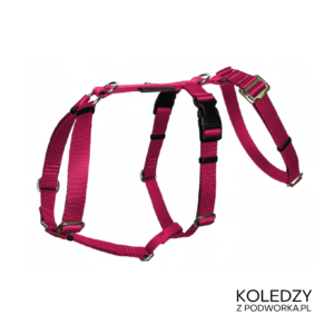 SZELKI GUARD ANTYUCIECZKOWE KOLEDZY Z PODWÓRKA RÓŻOWE