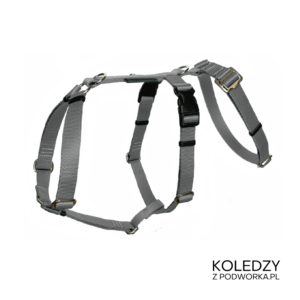 SZELKI GUARD ANTYUCIECZKOWE KOLEDZY Z PODWÓRKA SZARE