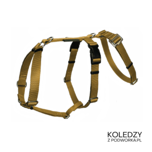 SZELKI GUARD ANTYUCIECZKOWE KOLEDZY Z PODWÓRKA ZŁOTE