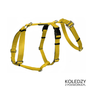 SZELKI GUARD ANTYUCIECZKOWE KOLEDZY Z PODWÓRKA ŻÓŁTE