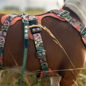 SZELKI GUARD ANTYUCIECZKOWE Z PODSZYCIEM (WZORY)