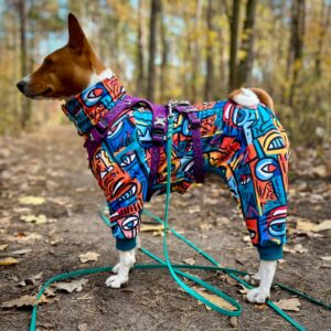 KOMBINEZON DRESOWY DLA BASENJI PICASSO