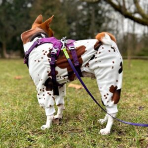 KOMBINEZON POLAROWY DLA BASENJI KRASULA aka MUĆKA