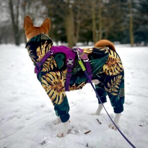 KOMBINEZON POLAROWY DLA BASENJI MONSTERA CZARNA