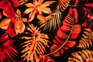 POLAR MONSTERA CZERWONA