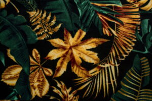 POLAR MONSTERA ZIELONA