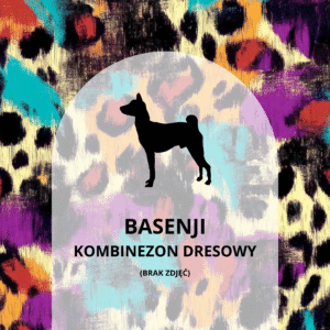 KOMBINEZON DRESOWY DLA BASENJI - COLORFUL CHEETAH