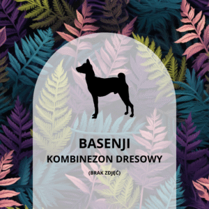 KOMBINEZON DRESOWY DLA BASENJI - COLORFUL FERNS