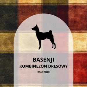 KOMBINEZON DRESOWY DLA BASENJI - KRATA