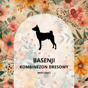 KOMBINEZON DRESOWY DLA BASENJI - ŁĄKA
