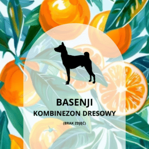 KOMBINEZON DRESOWY DLA BASENJI - SICILIAN ORANGES