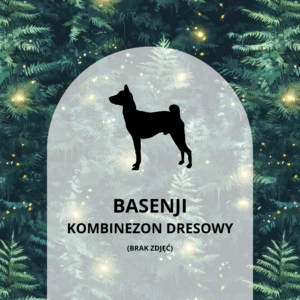 KOMBINEZON DRESOWY DLA BASENJI - ŚWIETLIKI