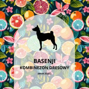 KOMBINEZON DRESOWY DLA BASENJI - TUTTI FRUTTI