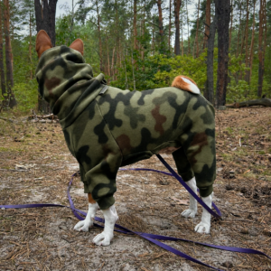 KOMBINEZON POLAROWY DLA BASENJI | ZIELONE MORO