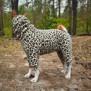 KOMBINEZON POLAROWY PANTERKA DLA BASENJI